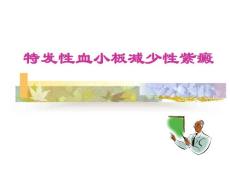 特发性血小板减少性紫癜ppt课件