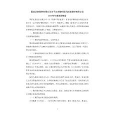 国信证券股份有限公司关于北京数码视讯科技股份有限公司2010年年度跟踪报告