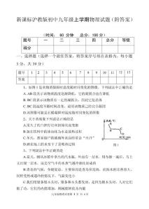 新课标沪教版初中九年级上学期物理试题（附答案）