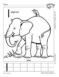 幼儿数学系列African animals