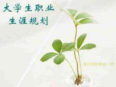 大學生職業生涯規劃PPt