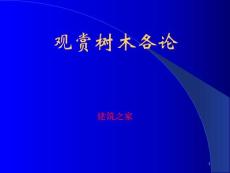 【精品课件】观赏树木各论（图文并茂）