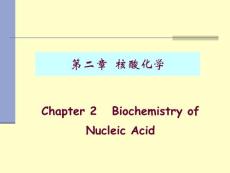 第二章 核酸化学´