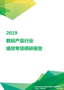 2019数码产品行业绩效专项调研报告.pdf