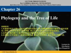 26_Lecture_Presentation_PC