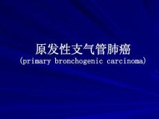原发性支气管肺癌(primary bronchogenic carcinoma)