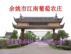 沈如峰——以色列水肥一体化技术的应用