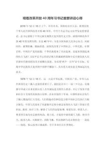 观看改革开放40周年讲话心得