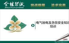 電氣觸電及急救安全培訓(xùn)