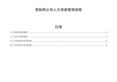 某制药公司人力资源管理流程