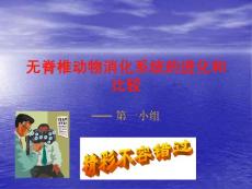 【医学PPT课件】无脊椎动物消化系统的进化和比较