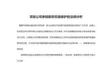 项目公司参股股东权益维护的法律分析