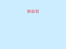 脾破裂PPT课件