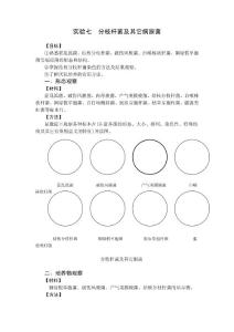 分枝桿菌及其它病原菌