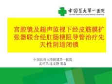 先天性阴道闭锁ppt课件