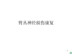 臂丛神经损伤康复ppt课件