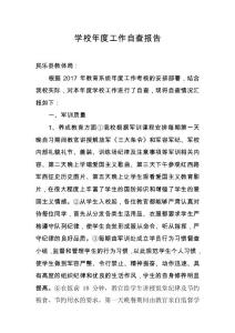 學(xué)校年度工作自查報告
