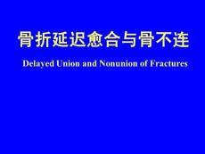 《骨不连》 ppt课件