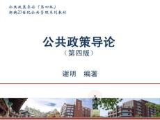 公共政策导论第四章