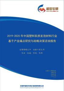 【完整版】2019-2025年中国塑料软质发泡材料行业基于产业痛点研究与战略决策咨询报告
