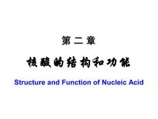 核酸结构与功能课件