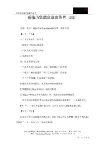 威格瑪集團企業宣傳片