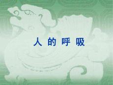苏教版2019小学三年级上册科学课件-16 人的呼吸（共31页）