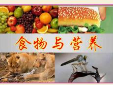 苏教版2019小学三年级上册科学课件-19 食物与营养（共17页）