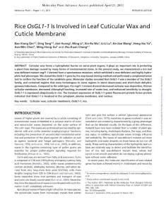 【OsGL1-1】Rice OsGL1-1 Is Involved in Leaf Cuticular Wax and Cuticle Membrane
