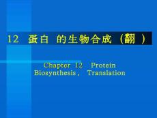 12 蛋白质的生物合成（翻译） Chapter 12 Protein Biosynthesis ...