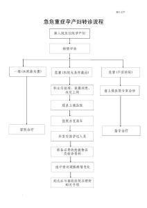 孕产妇转诊流程图