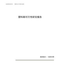 塑料刷可行性研究报告（总投资4000万元）（15亩）