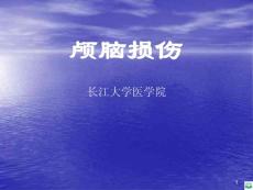 颅脑损伤精品ppt课件