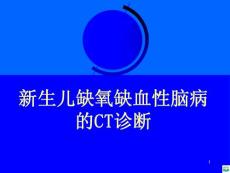 新生儿缺氧缺血性脑病ct诊断ppt课件
