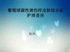 葡萄球菌性烫伤样皮肤综合症精品ppt课件