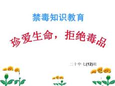 中学生初中生禁毒教育ppt课件