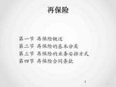 再保险ppt课件