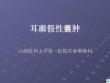 浆液性耳廓软骨膜炎ppt课件