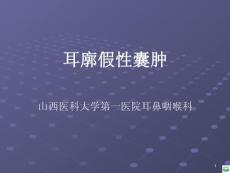 浆液性耳廓软骨膜炎ppt课件