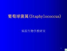 葡萄球菌ppt课件