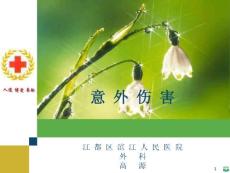 意外伤害院前急救ppt课件