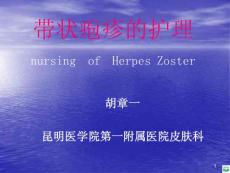 带状疱疹的护理ppt课件
