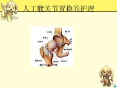 人工全髋关节置换摘要ppt课件