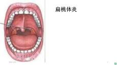 幼儿卫生学知识ppt课件