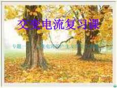 高三物理交变电流复习ppt课件