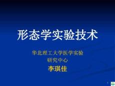 形态学实验技术(研究生)ppt课件