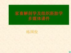 被皮系统ppt课件