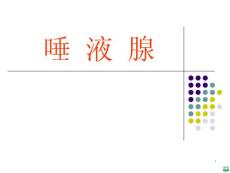 唾 液 腺ppt课件