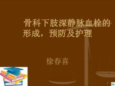 静脉血栓的护理ppt课件
