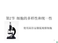 高一生物使用高倍显微镜观察细胞ppt课件